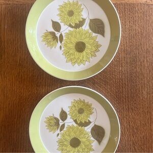 Vintage Mikasa Duplex Set of 2 Dahlia High Rimmed Salad Plates Ironstone Japan